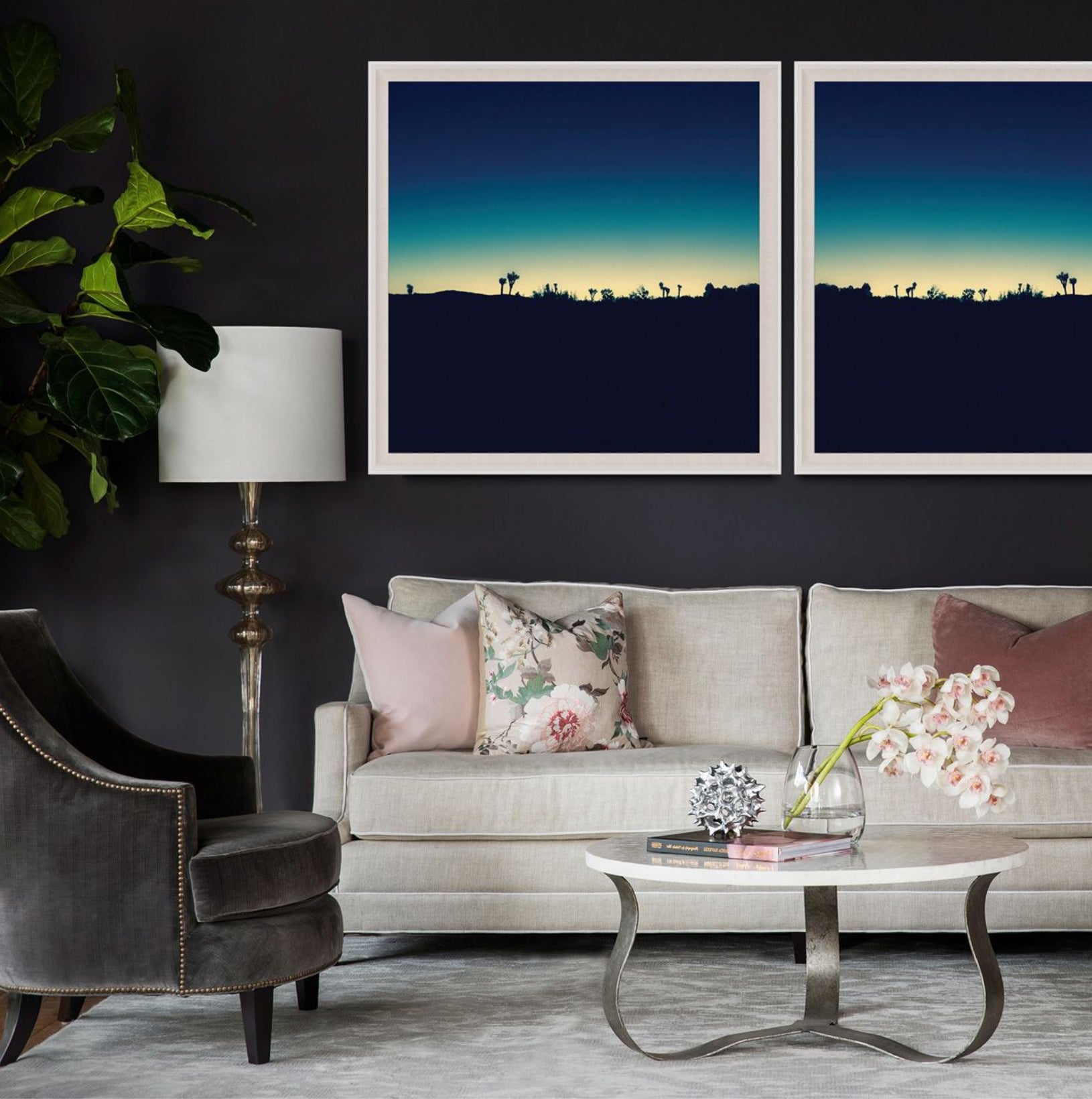 Mojave Mood Photography Art by Natural Curiosities