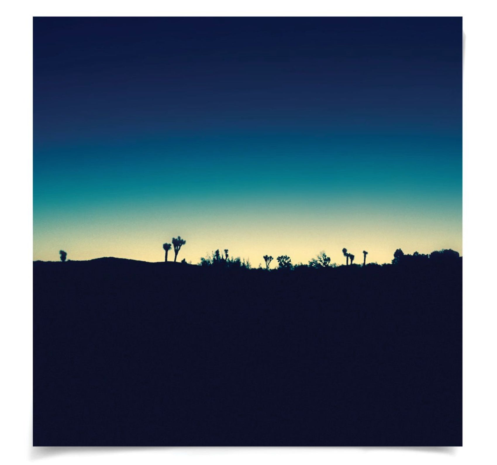 Natural Curiosities Mojave Mood 1 & 2 Photography Art