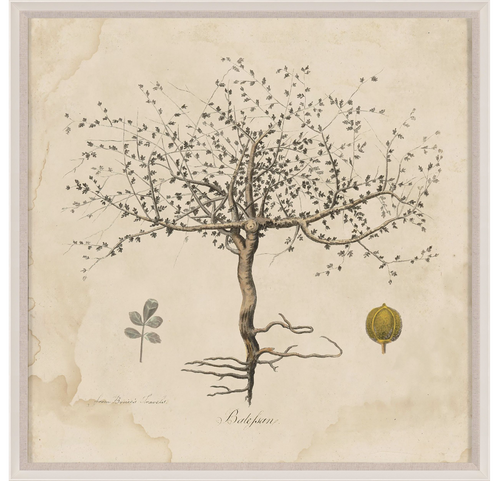 Natural Curiosities Primitivo Wishing Tree