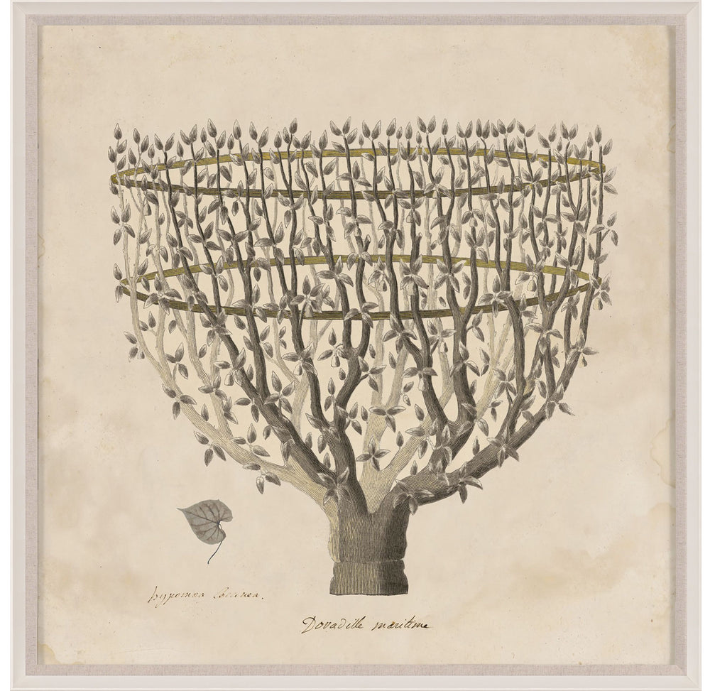 Natural Curiosities Primitivo Fortune Tree Art