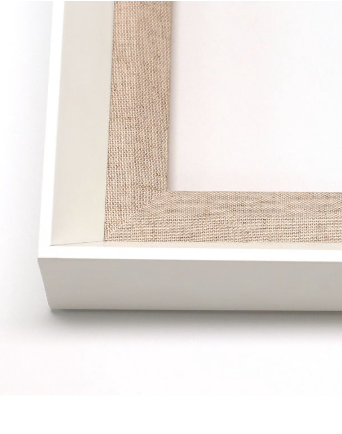 Natural Curiosities Tree of Life, Series 3 Wall Art