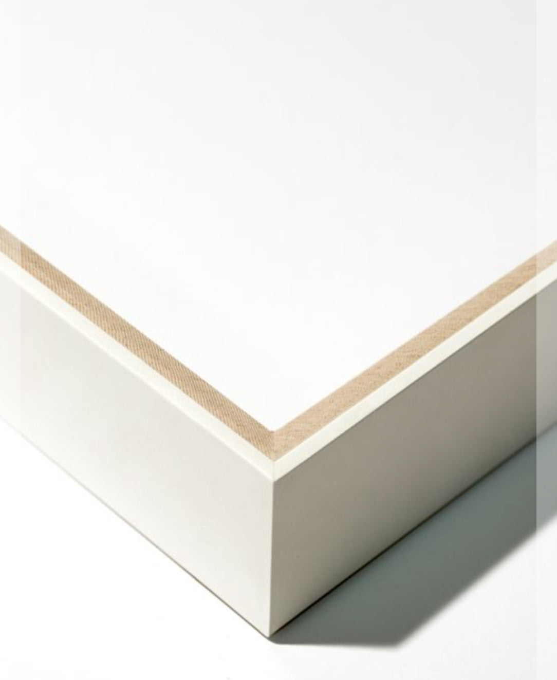 Natural Curiosities Tree of Life, Series 3 Wall Art