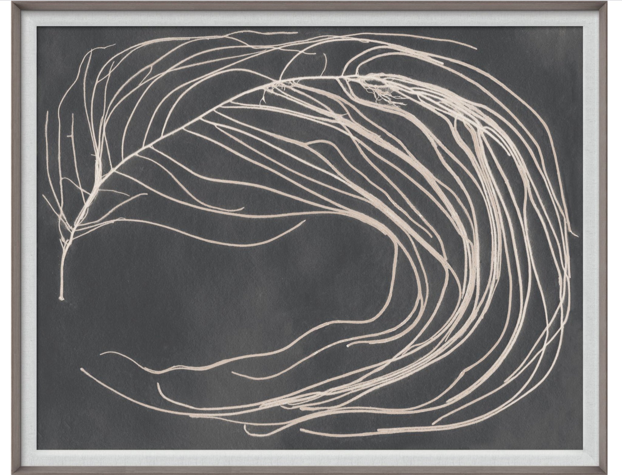 Natural Curiosities Hemingway's Dream Art