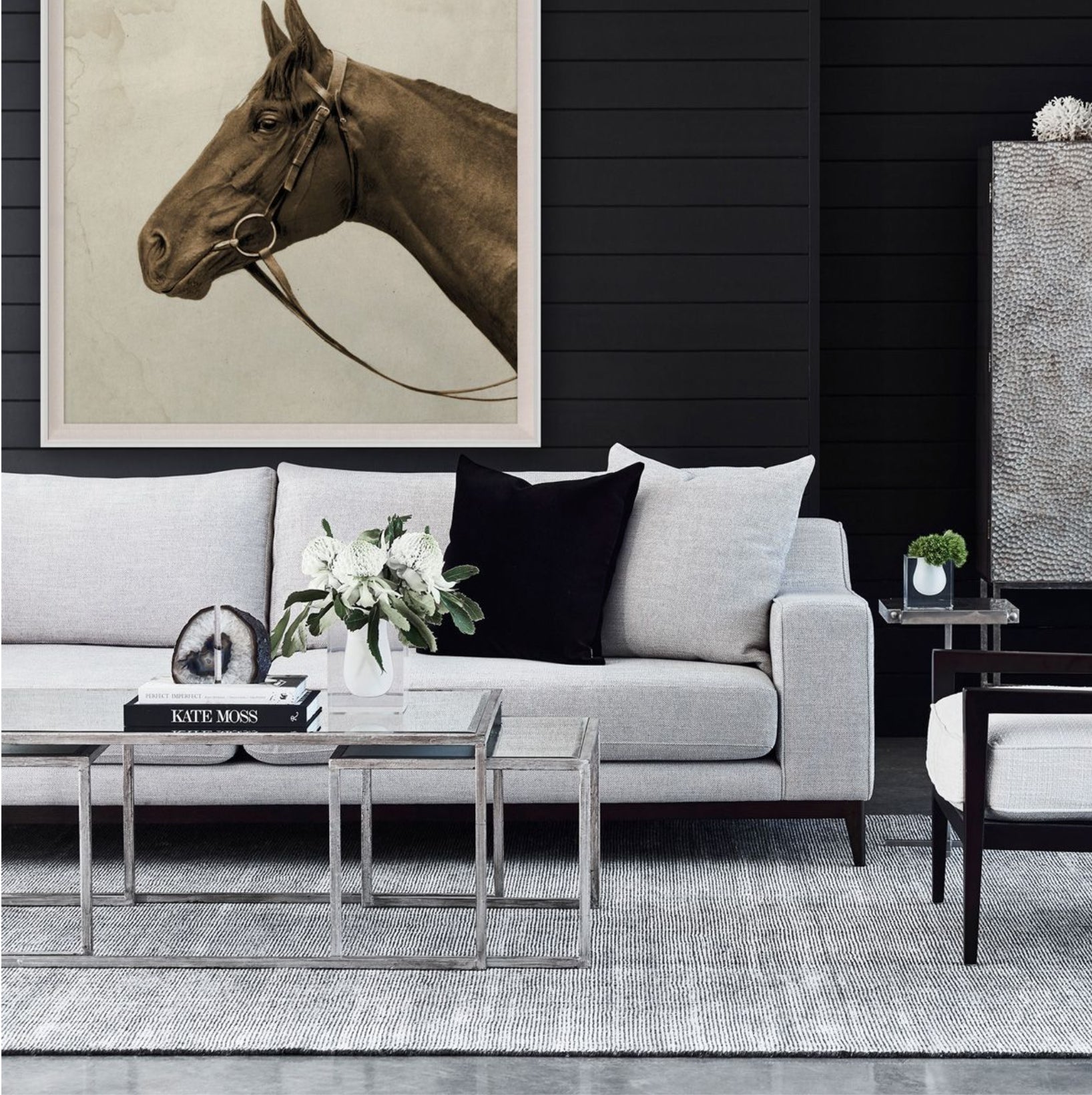 Natural Curiosities Lord Denver Wall Art