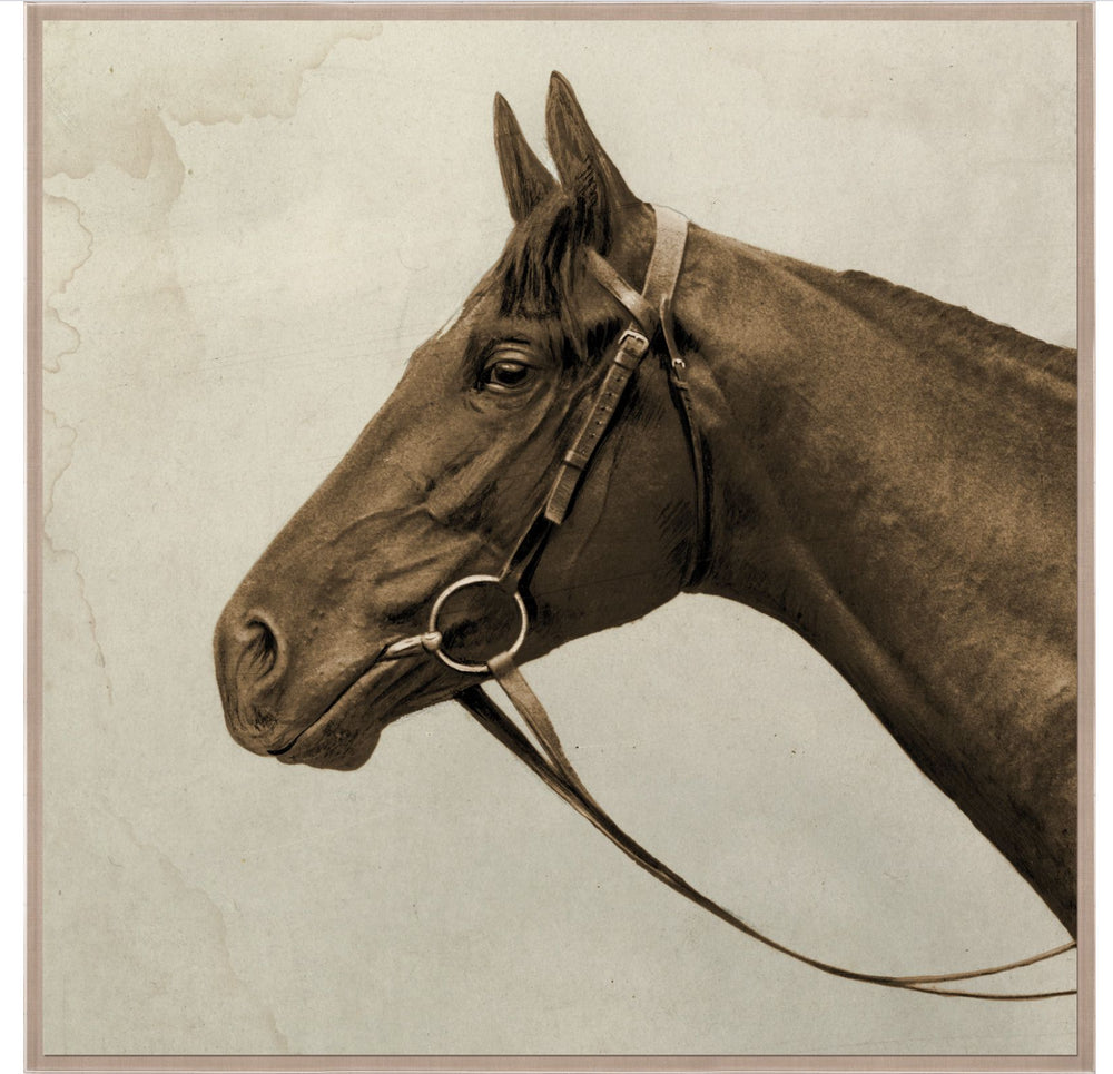 Natural Curiosities Lord Denver Wall Art