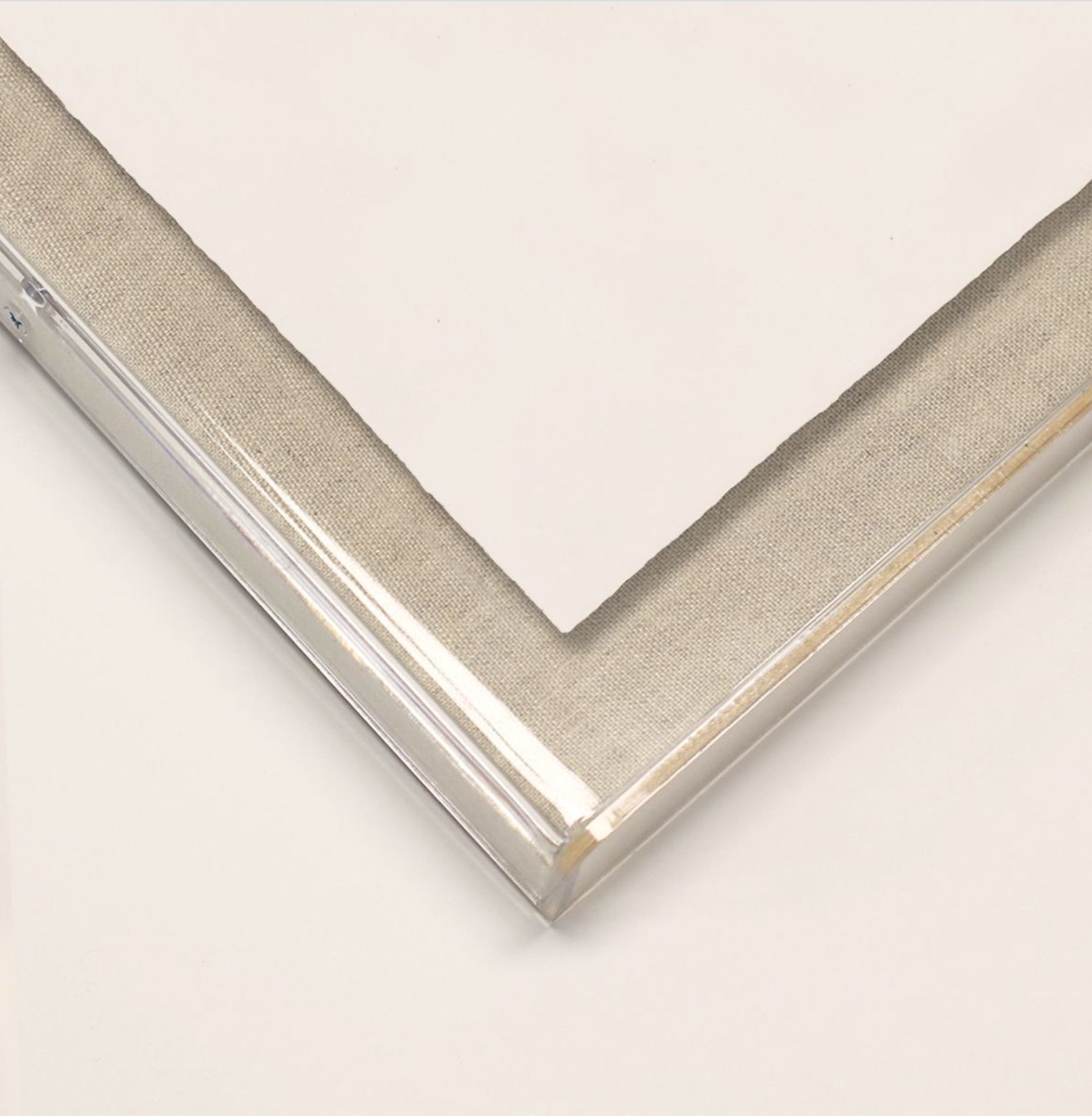 Natural Curiosities Lord Denver Wall Art