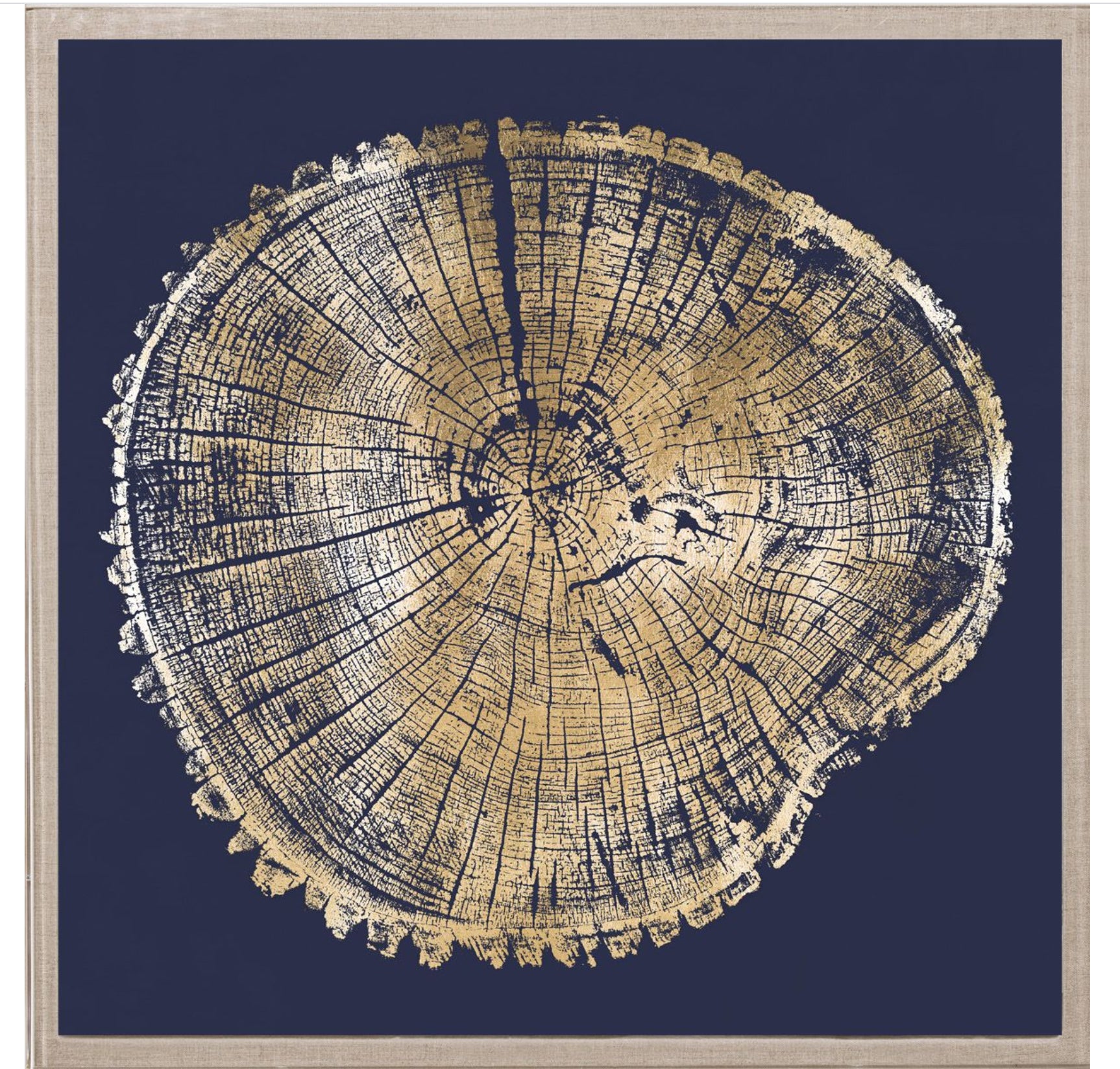 Natural Curiosities Wood Cross Section Gold 1