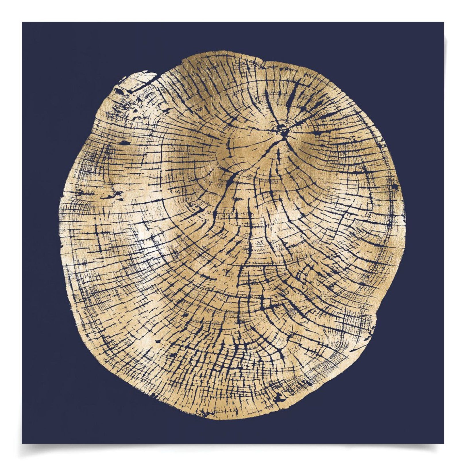 Natural Curiosities Wood Cross Section Gold 2