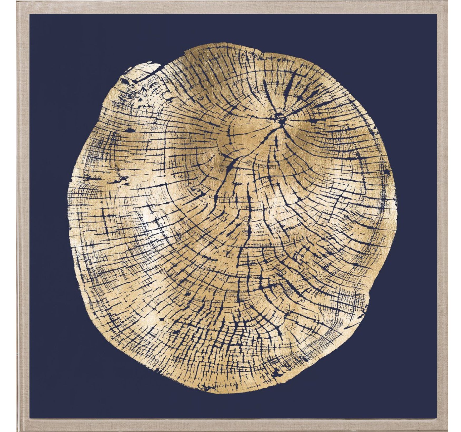 Natural Curiosities Wood Cross Section Gold 2