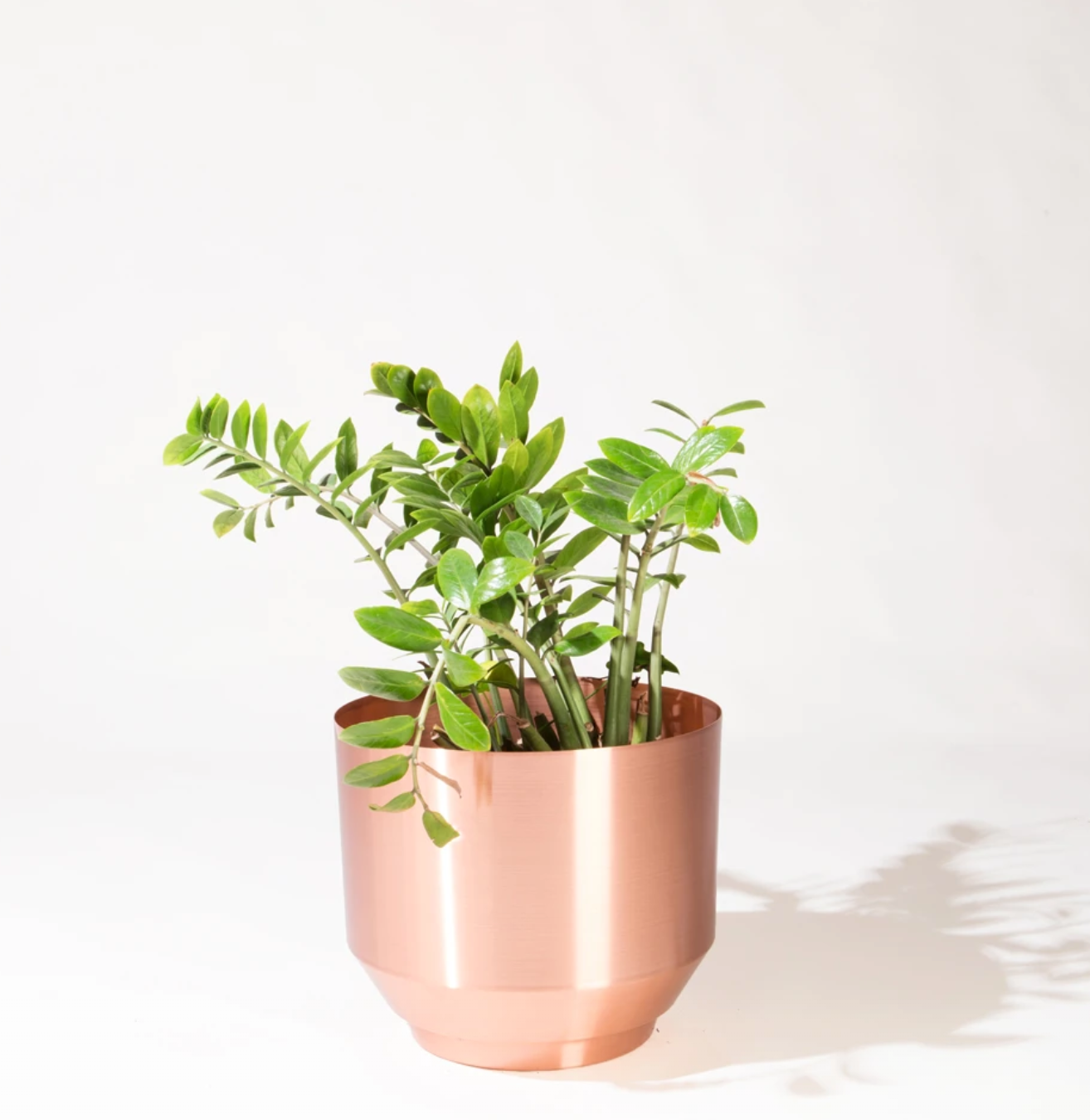 copper look plant pots Yield Design 8" Copper Spun Planter