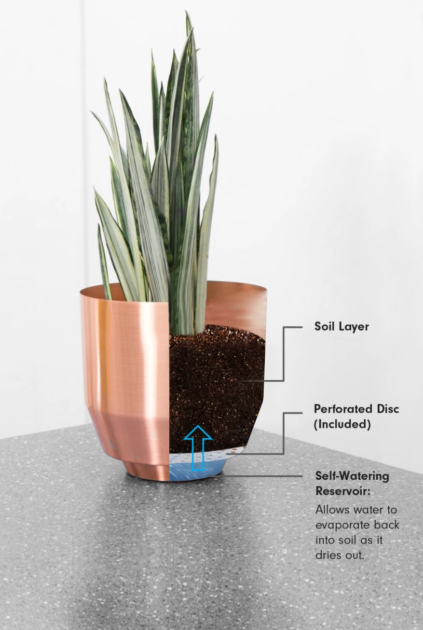 copper pot for plants Yield Design 8" Copper Spun Planter