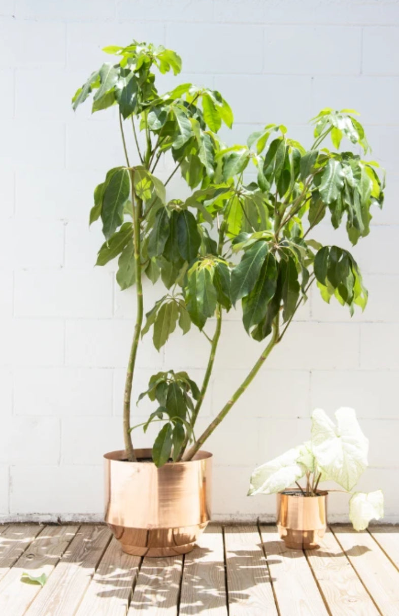 Yield Design 8" Copper Spun Planter