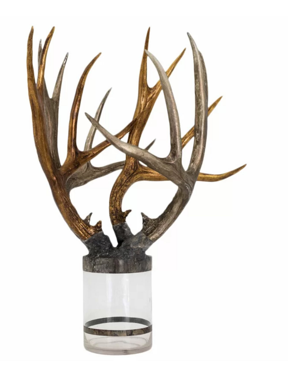 Quadruple Large Antler Decorative Bottle by Jamie Dietrich