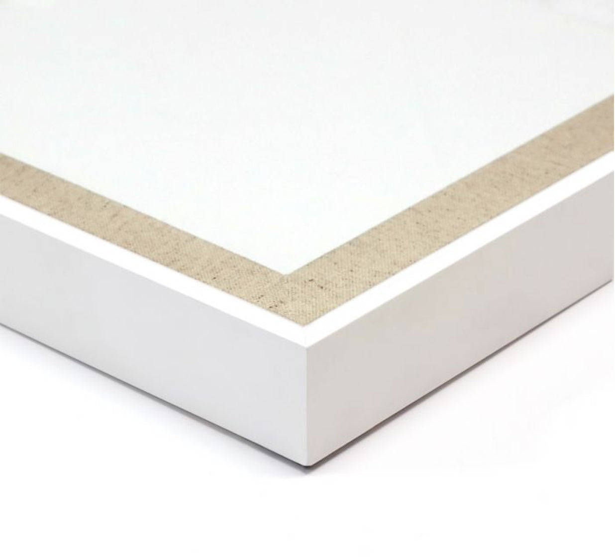 Natural Curiosities Solaris Art