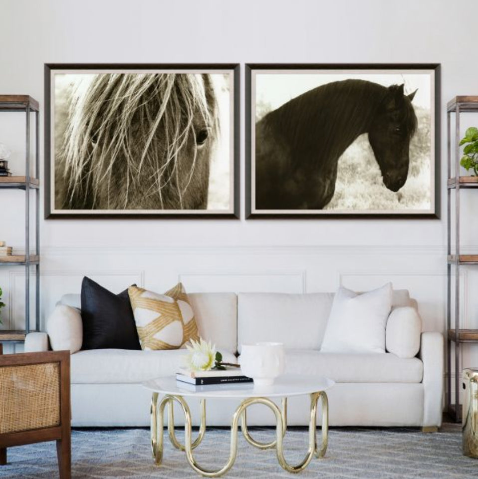 Natural Curiosities Hyden Horses Peaceful