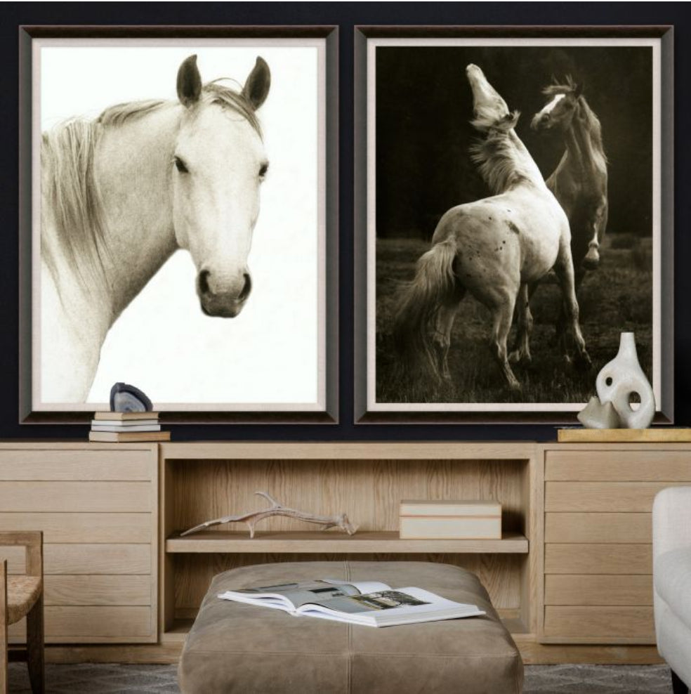 Natural Curiosities Hyden Horse Solo