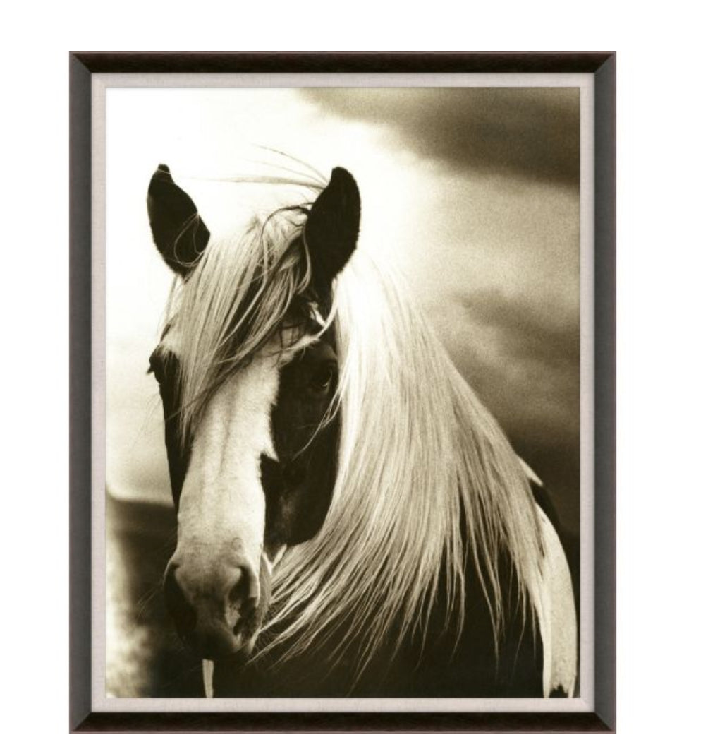 Natural Curiosities Hyden Horses Mussed