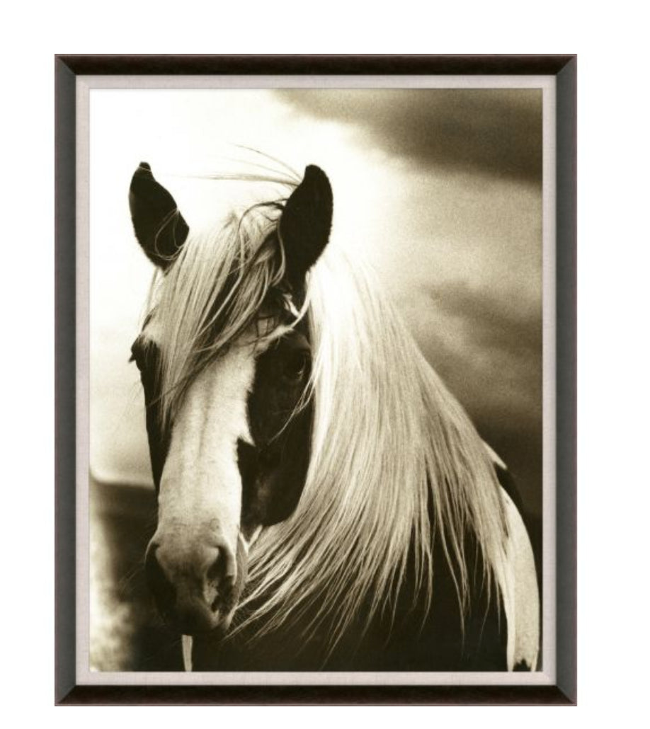 Natural Curiosities Hyden Horses Mussed