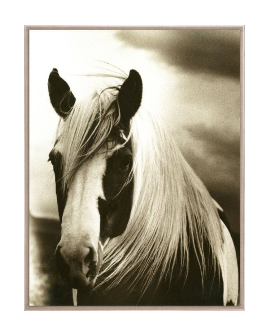 Natural Curiosities Hyden Horses Mussed