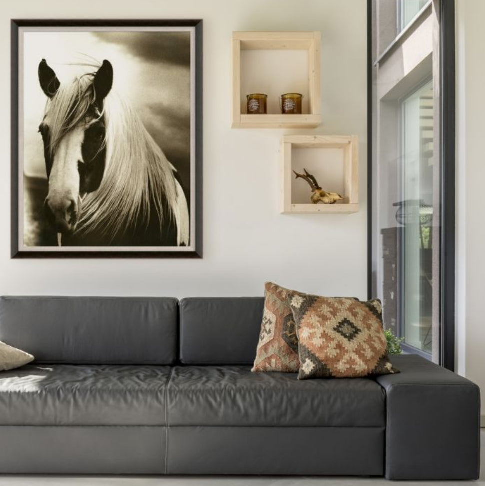 Natural Curiosities Hyden Horses Mussed