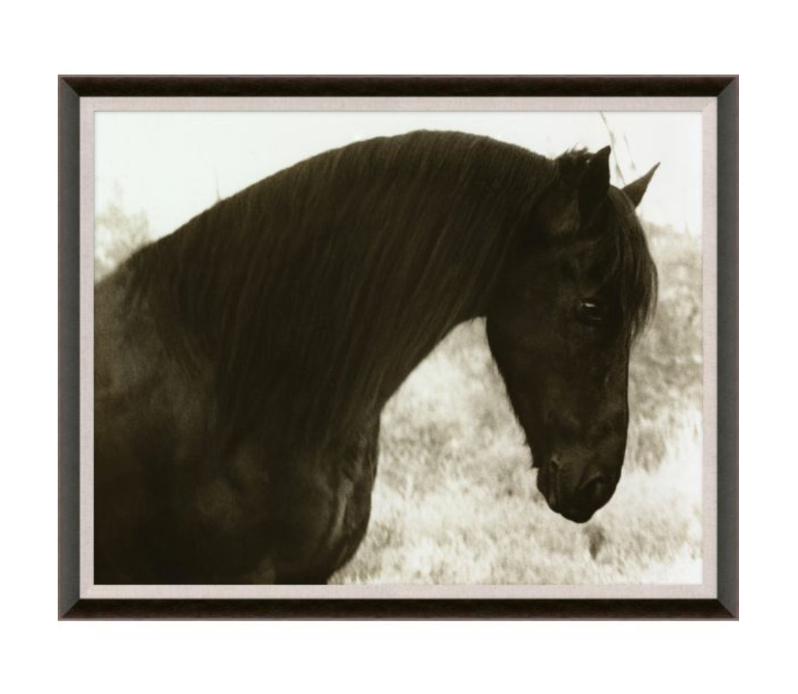 Natural Curiosities Hyden Horses Peaceful