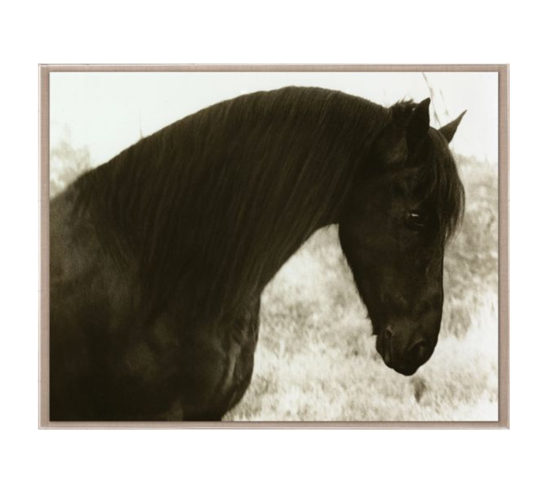 Natural Curiosities Hyden Horses Peaceful