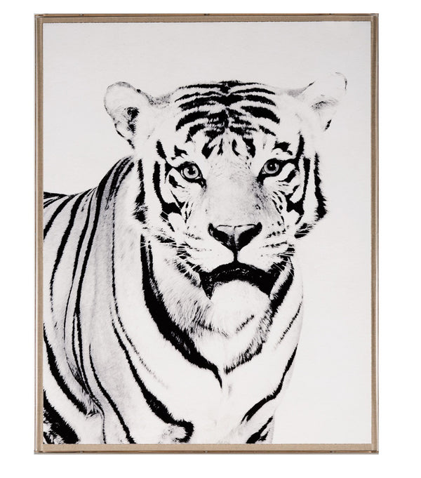 Natural Curiosities Tylinek Tiger Art