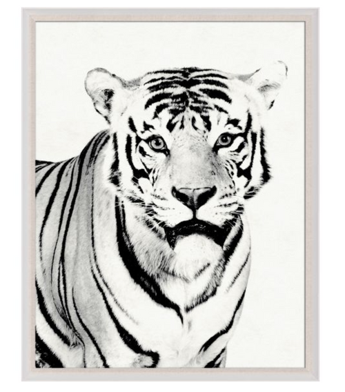 Natural Curiosities Tylinek Tiger Art
