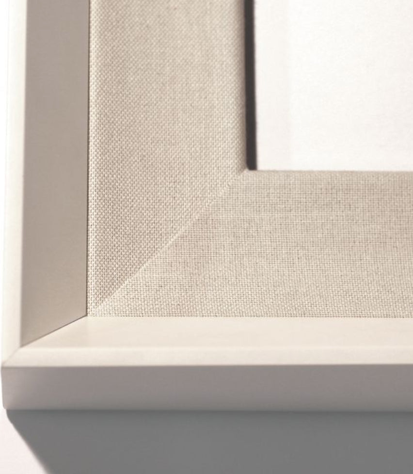 Natural Curiosities Modern Paradise, Modern Flower 1 Art