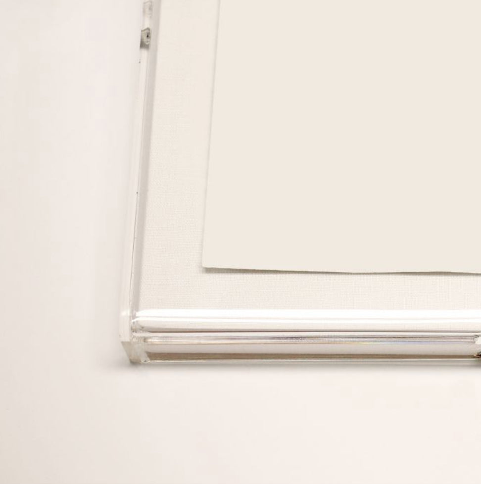 Natural Curiosities Modern Paradise, Swimming Dolphins 1