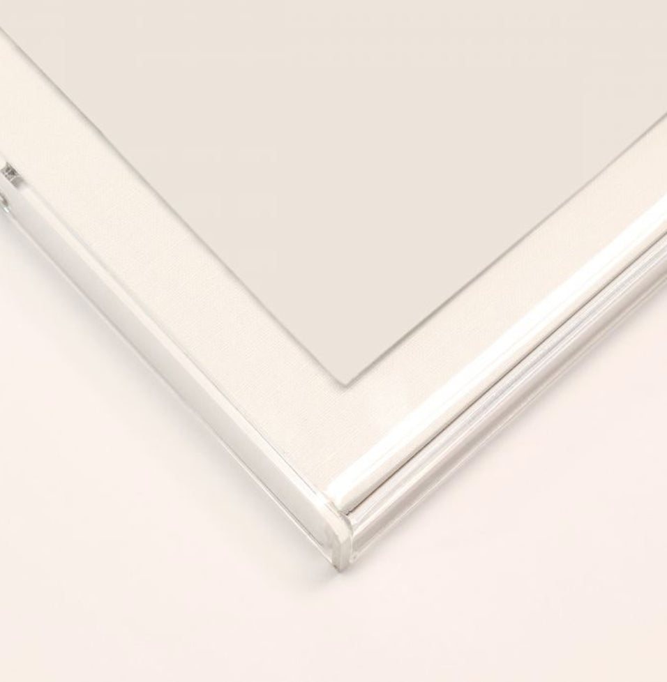 Natural Curiosities Modern Paradise, Swimming Dolphins 1