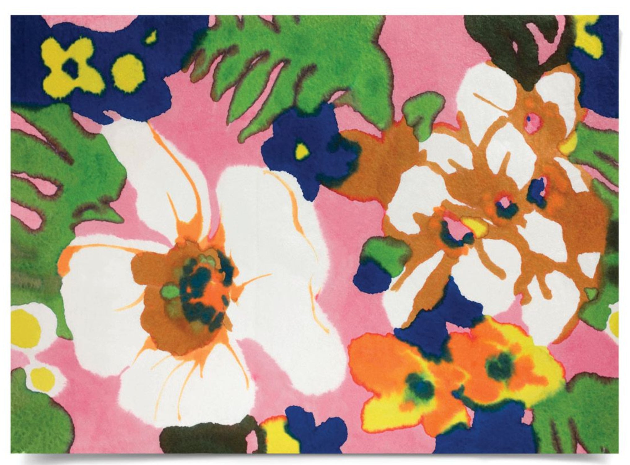 Natural Curiosities Modern Paradise, Modern Flower Pop