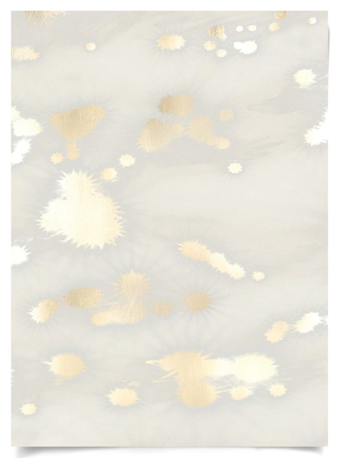 Natural Curiosities Morning Reflection Art