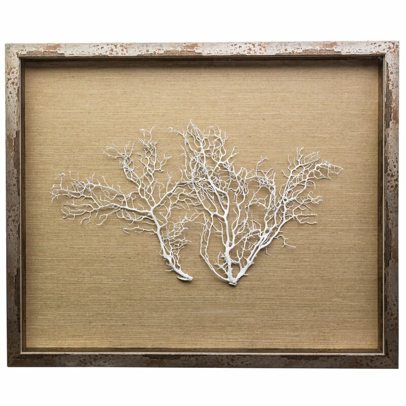 Jamie Dietrich Sea Fan Framed Graphic Art