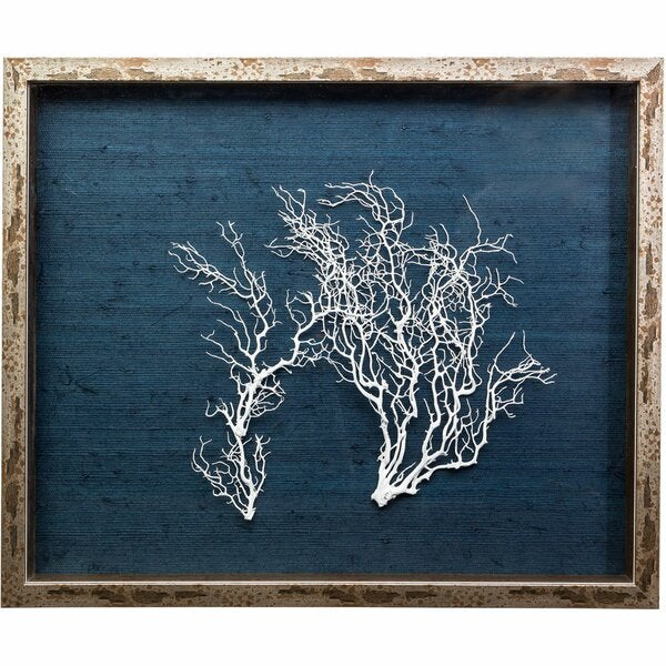 Jamie Dietrich Sea Fan Framed Graphic Art print