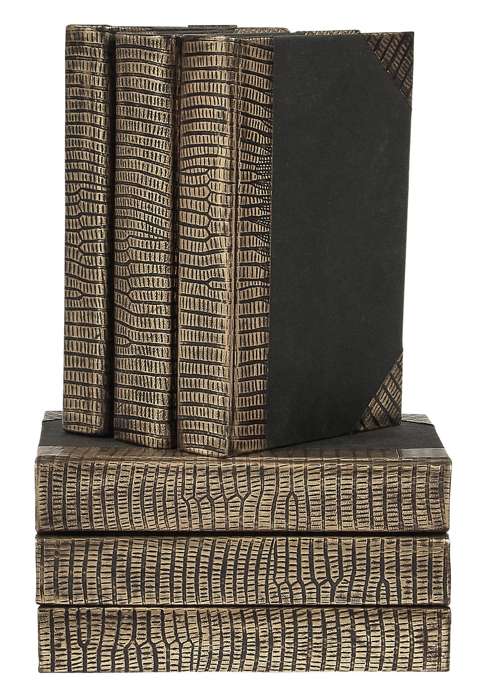 Python Leather & Antique Brass Decorative Books, Set of 6