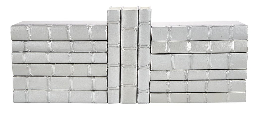 Decorative Books in Silver, Set of 15