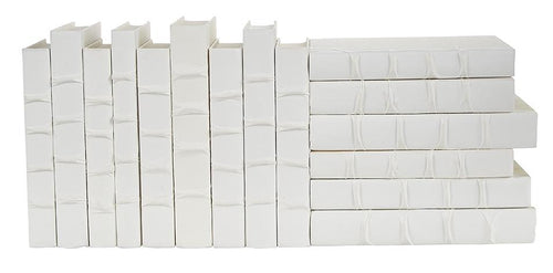 E Lawrence Set of 15 Decorative Books in White