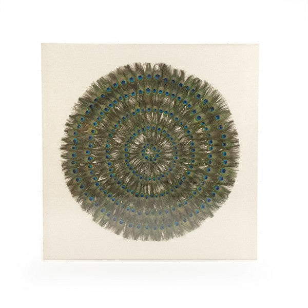 Zentique Abstract Paper Acrylic Framed Art Peacock Feathers On Tan Background In Acrylic Frame