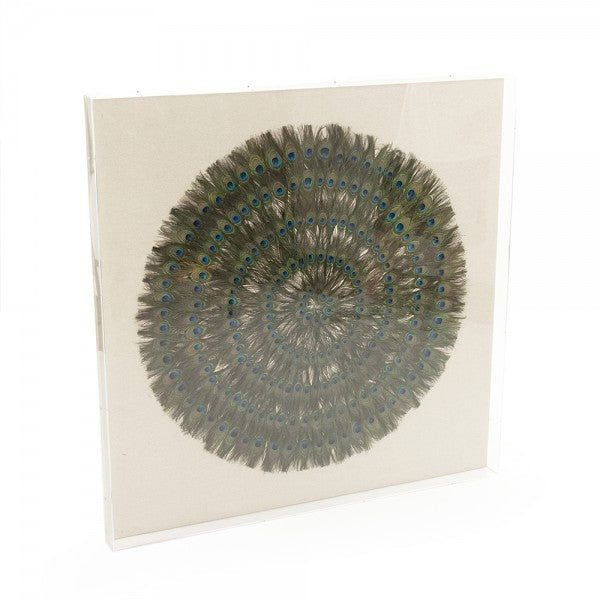 Zentique Abstract Paper Acrylic Framed Art Peacock Feathers On Tan Background In Acrylic Frame