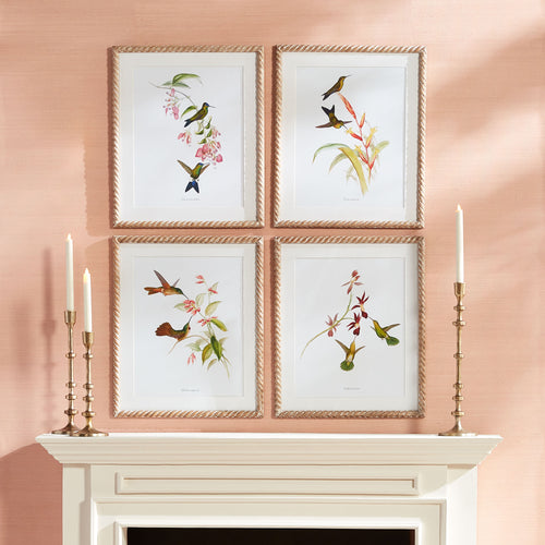 Napa Home And Garden Playful Hummingbird Prints, Set Of 4