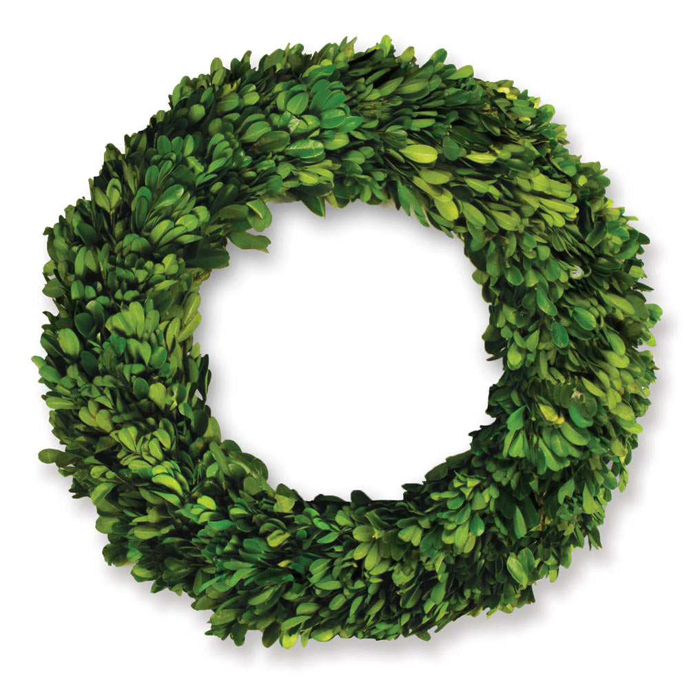 Napa Home And Garden Boxwood Wreath 12"