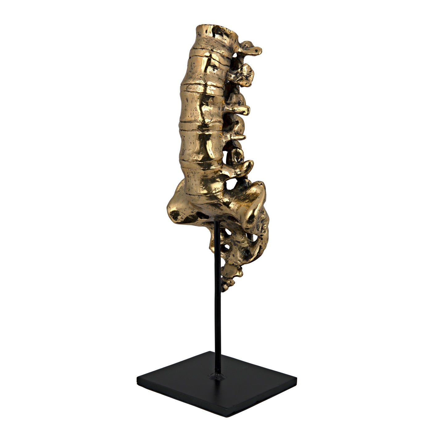 Noir Vertebrae, Brass And Steel