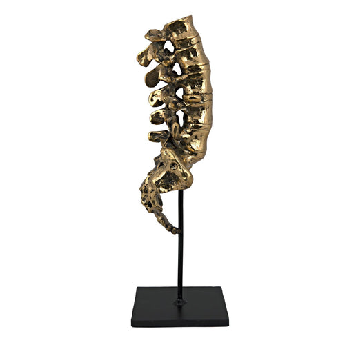 Noir Vertebrae, Brass And Steel