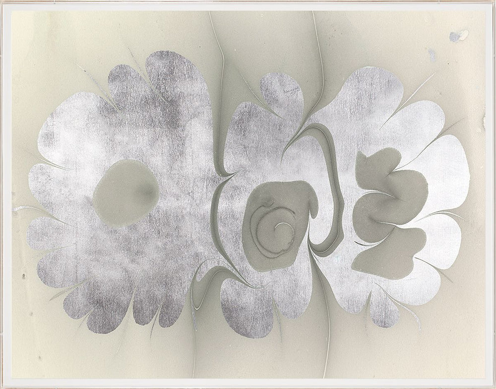 Natural Curiosities Abstract Oil Design Art