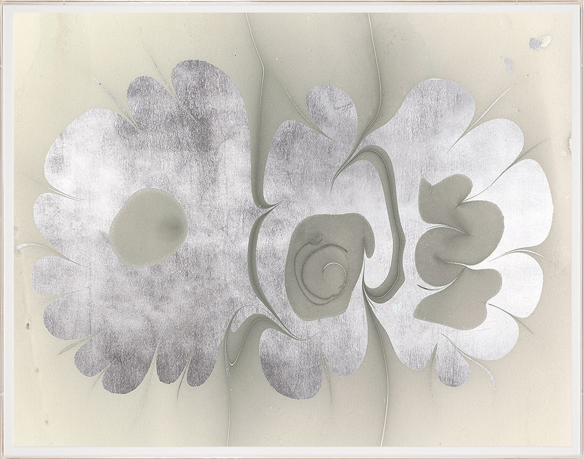 Natural Curiosities Abstract Oil Design Art