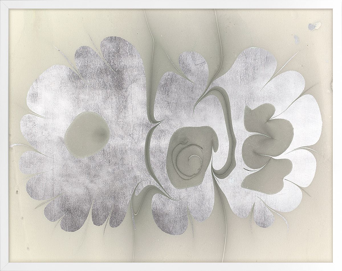 Natural Curiosities Abstract Oil Design Art