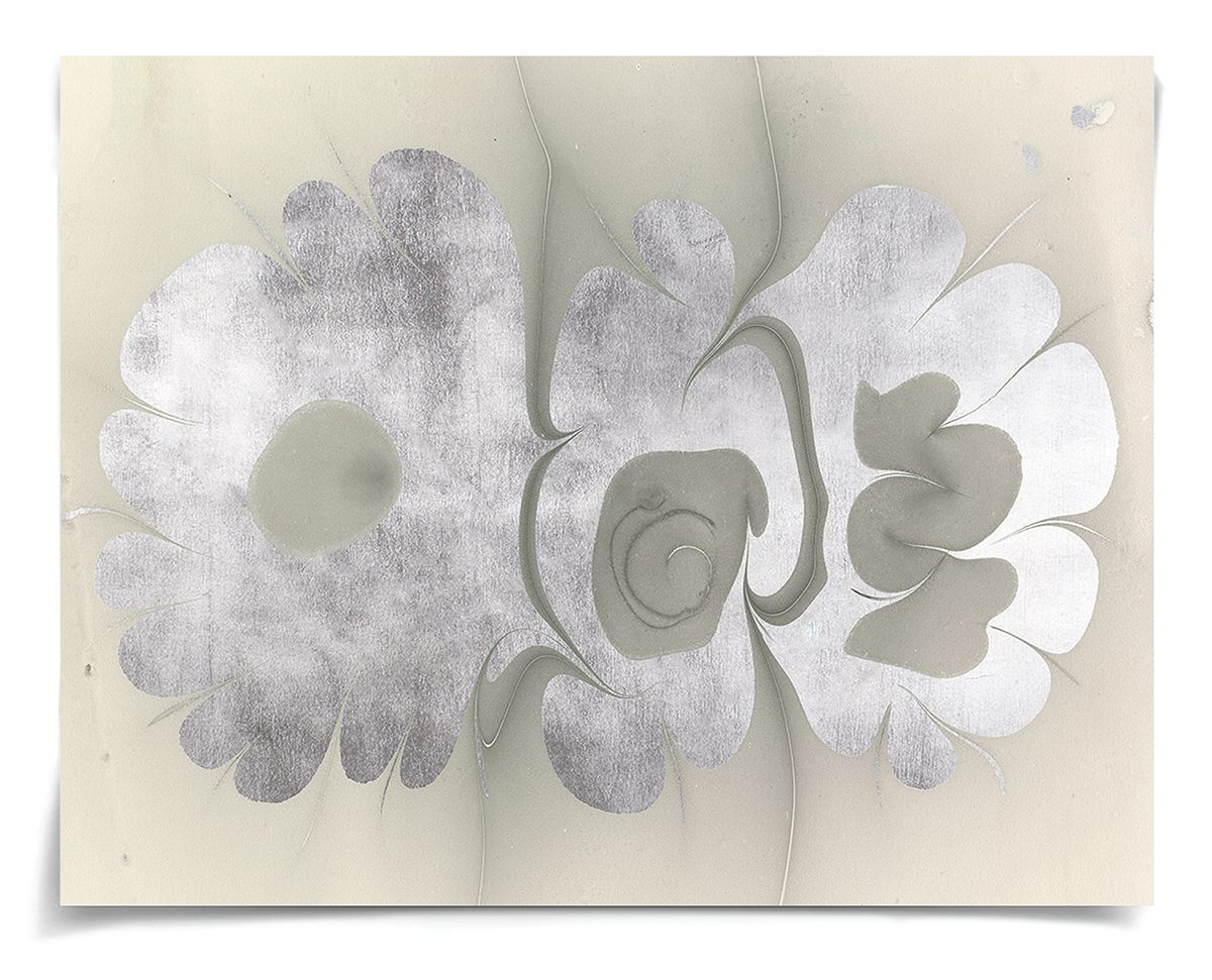 Natural Curiosities Abstract Oil Design Art