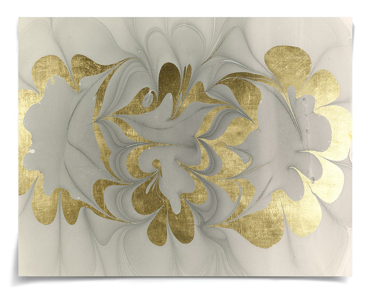 Natural Curiosities Abstract Oil Design Art