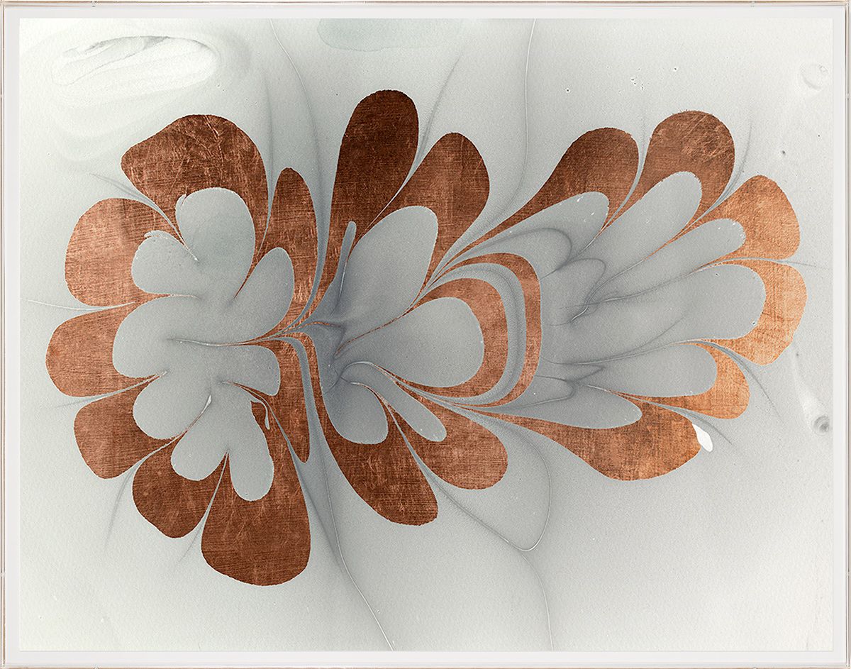 Natural Curiosities Abstract Oil Design Art